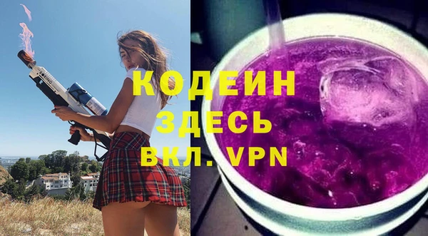хмурый Няндома