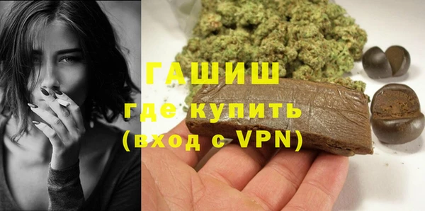хмурый Няндома