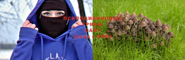 герыч Осинники